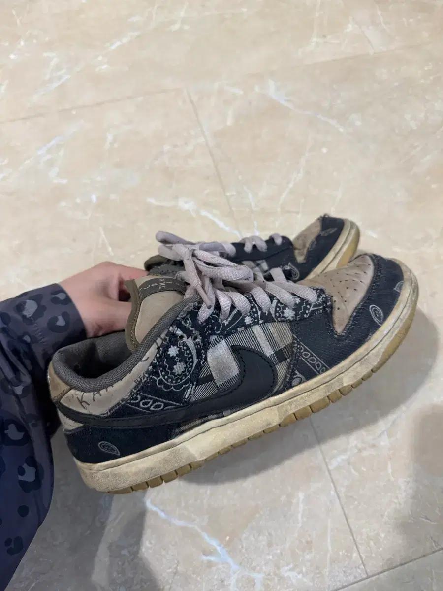 스캇덩크 250