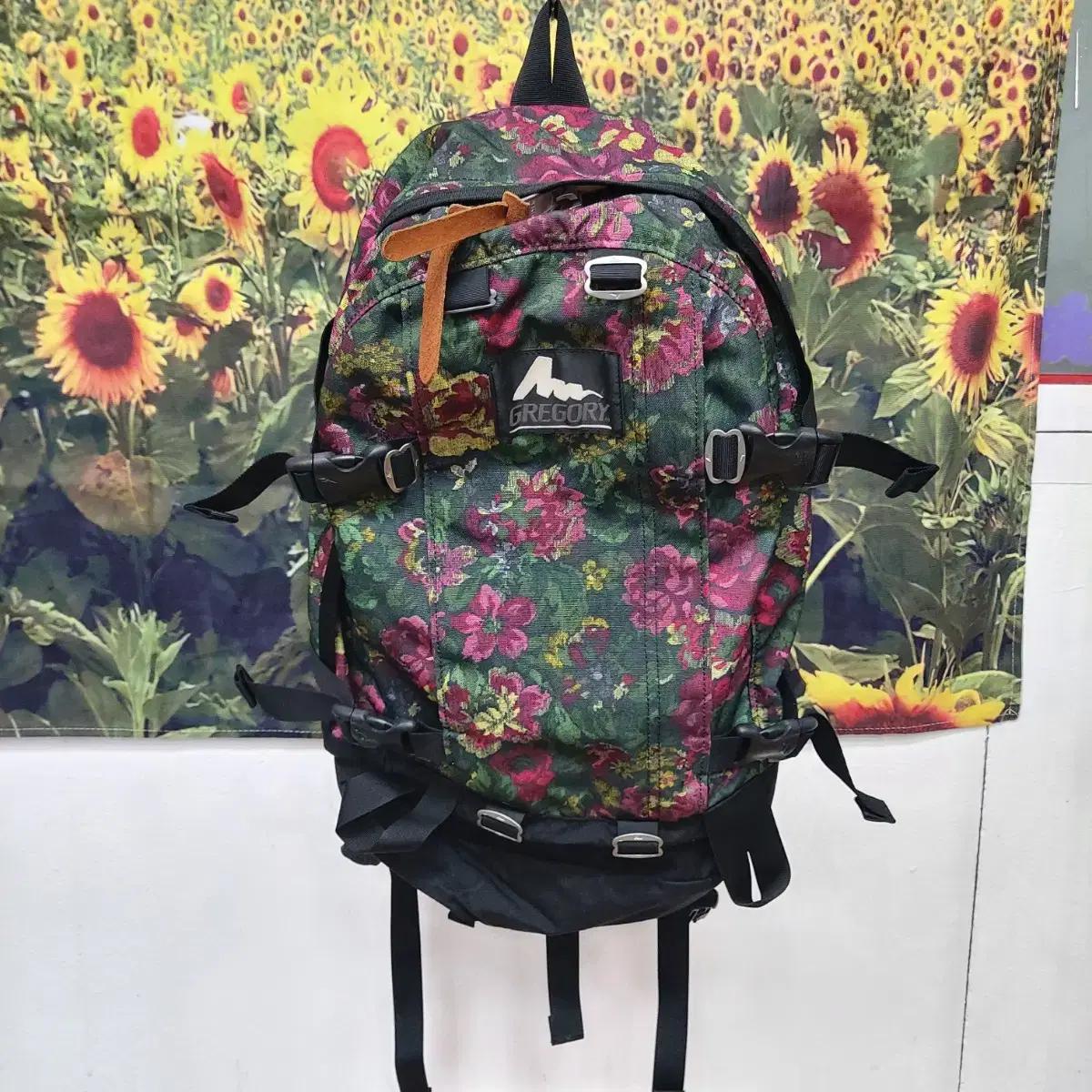 그레고리 V21 백팩 6a30