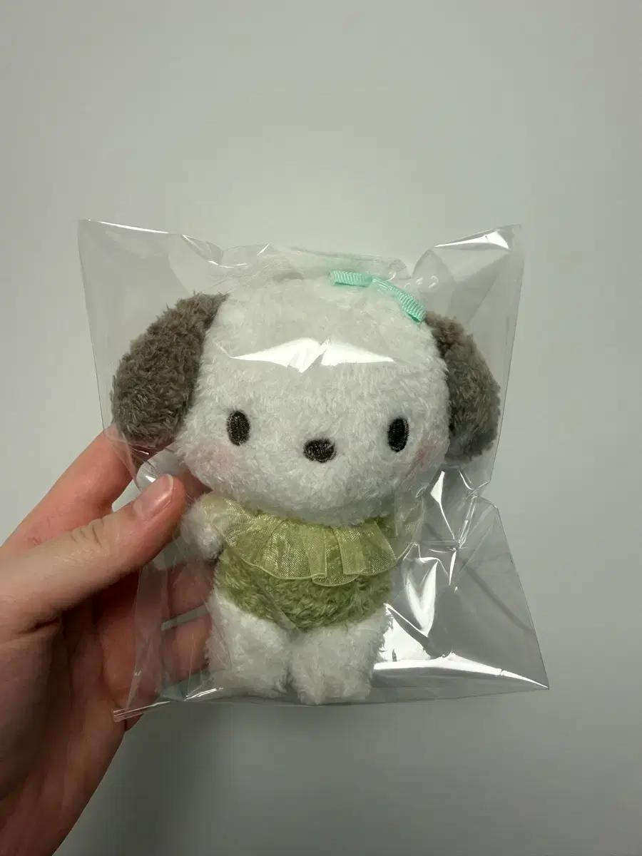 산리오 포차코 뽀글이 인형키링 최종가