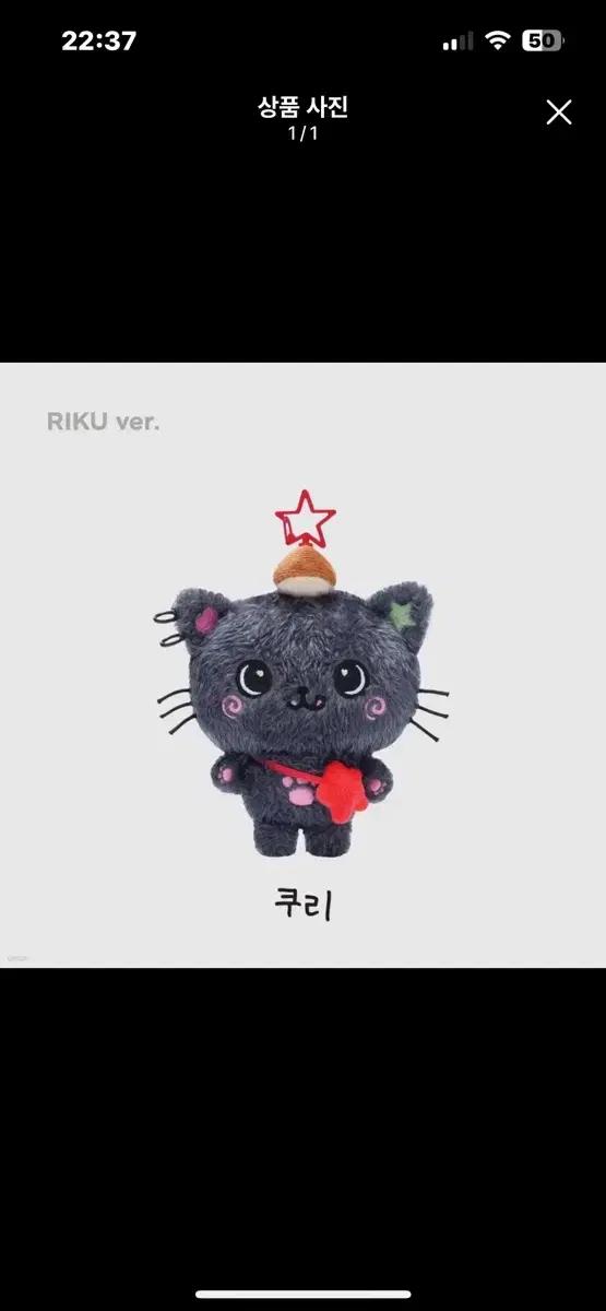 엔시티 위시 리쿠 쿠리 인형 양도 판매