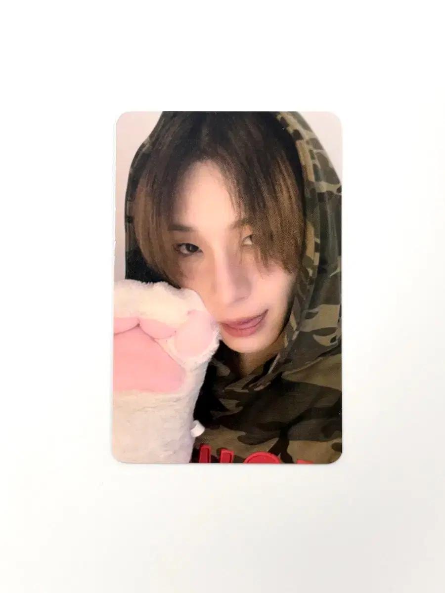 Xlov 엑스러브 haru 하루 냥젤리 포카 poca pc