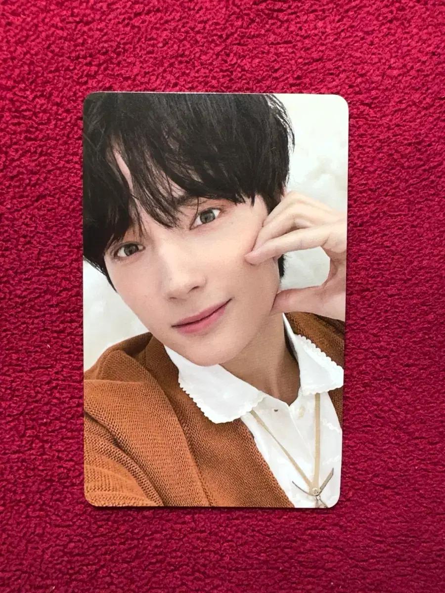 TXT 투바투 휴닝카이 스윗 재팬 럭드 스탠다드 포카