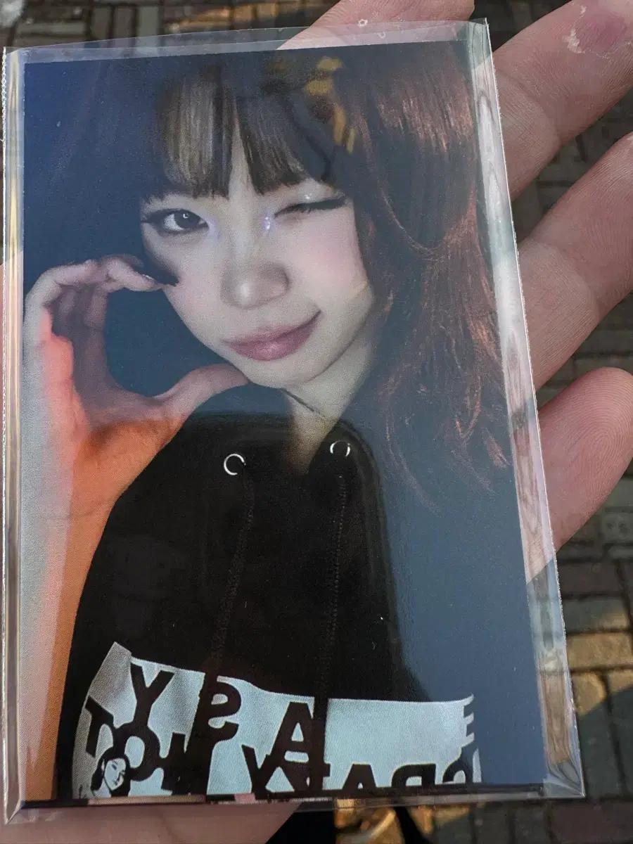 르세라핌 앙콘 포카세트