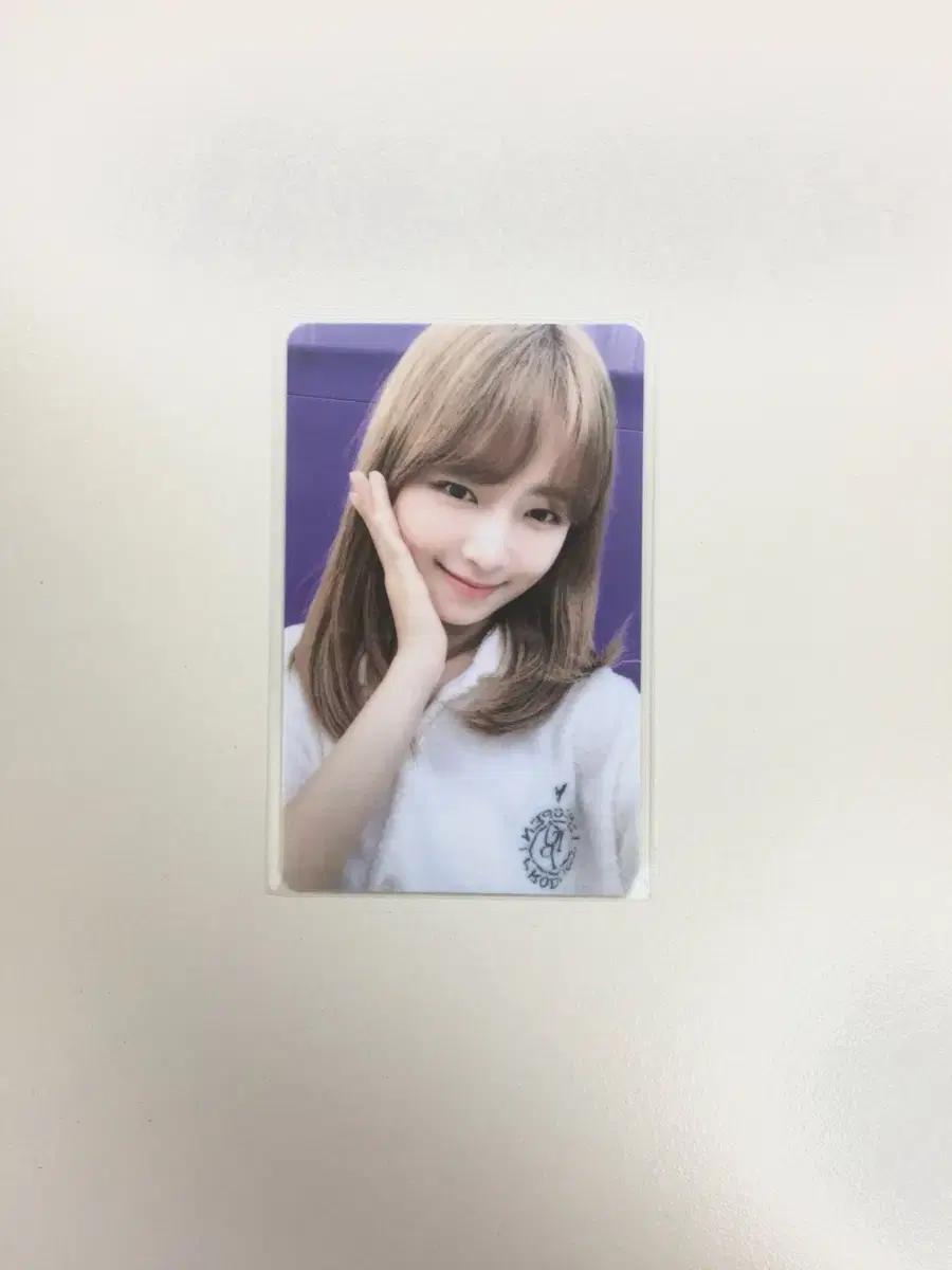 아이브 애프터라이크 위드뮤 럭드 레이 포카 팔아요