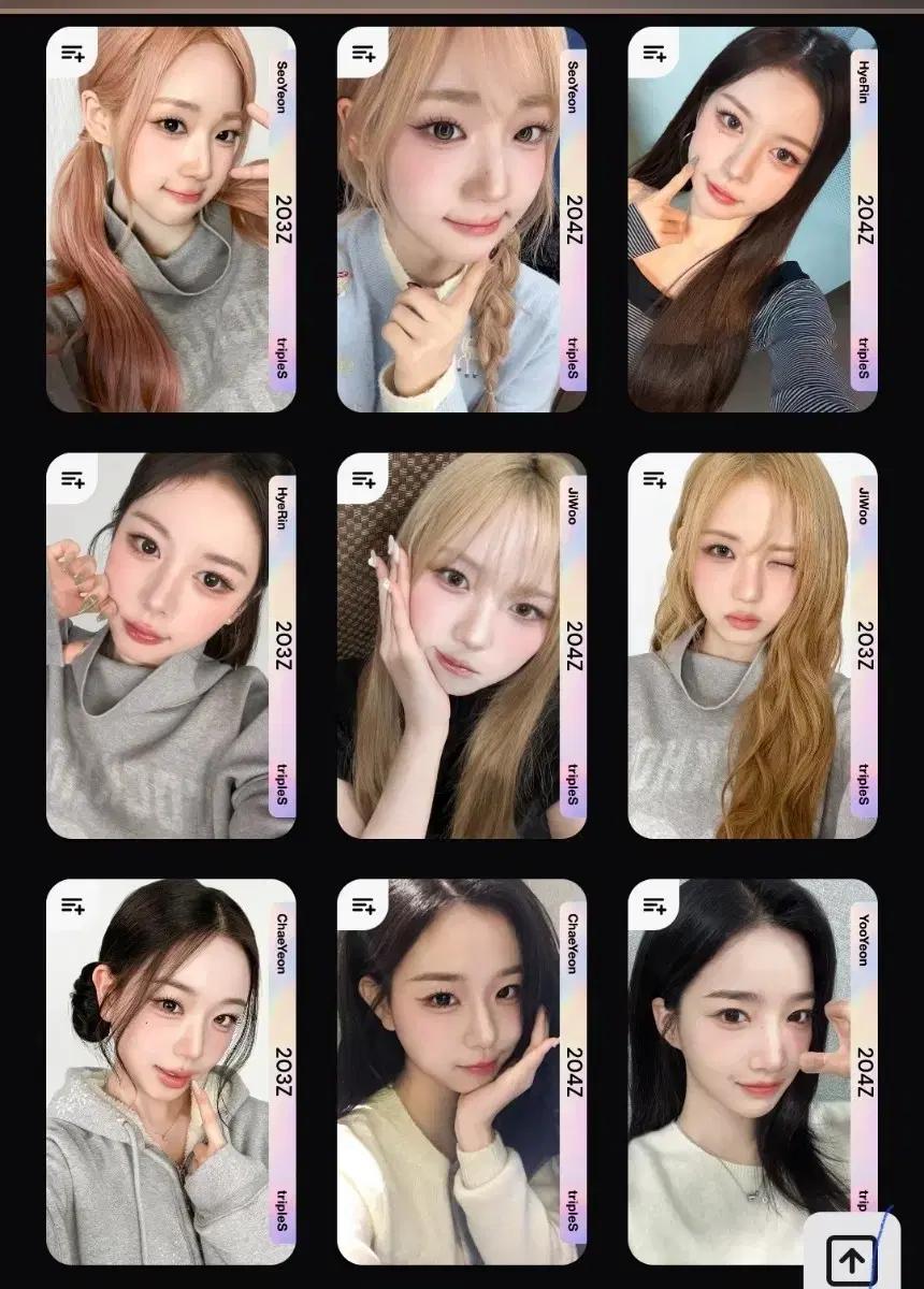 트리플에스 아이덴티티 스옵 sco 구매