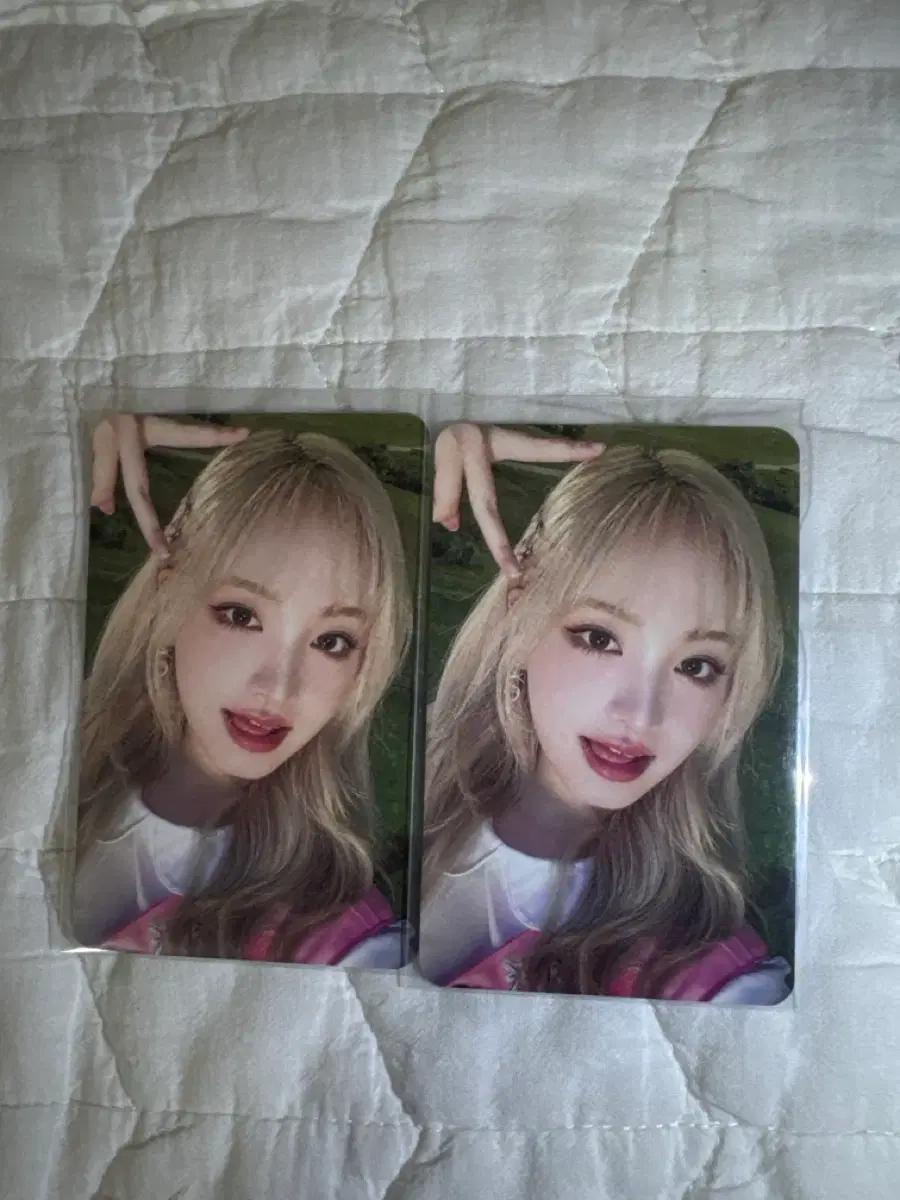 아이브 리즈 팬클럽 포토카드 양도해여