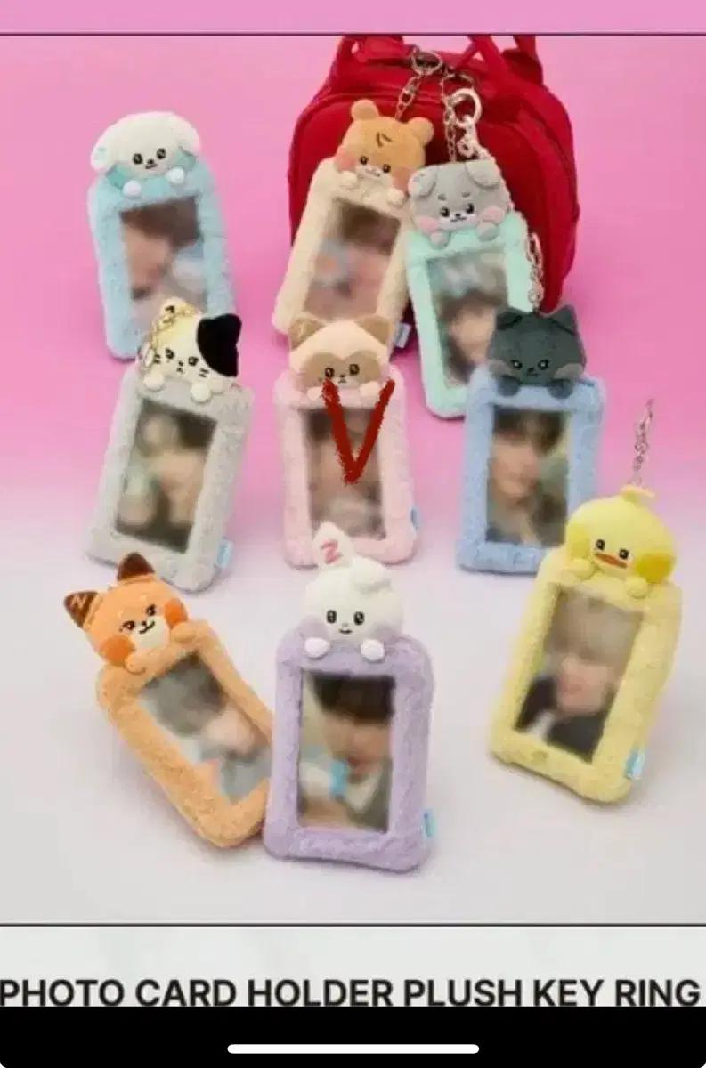 buy )제베원포카홀더