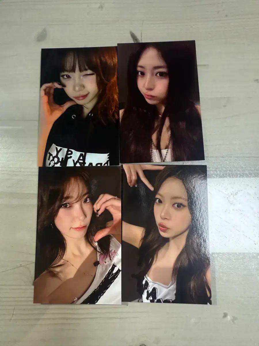 르세라핌 앙콘 피어나존 포키 양도