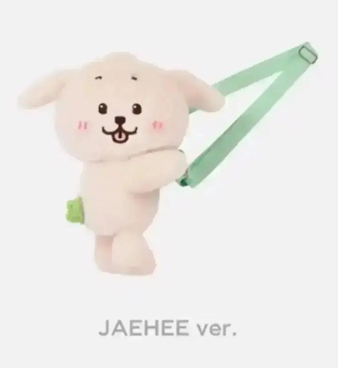 nct wish 재희 댕트리버 가방 팔아요!(포카 포함)