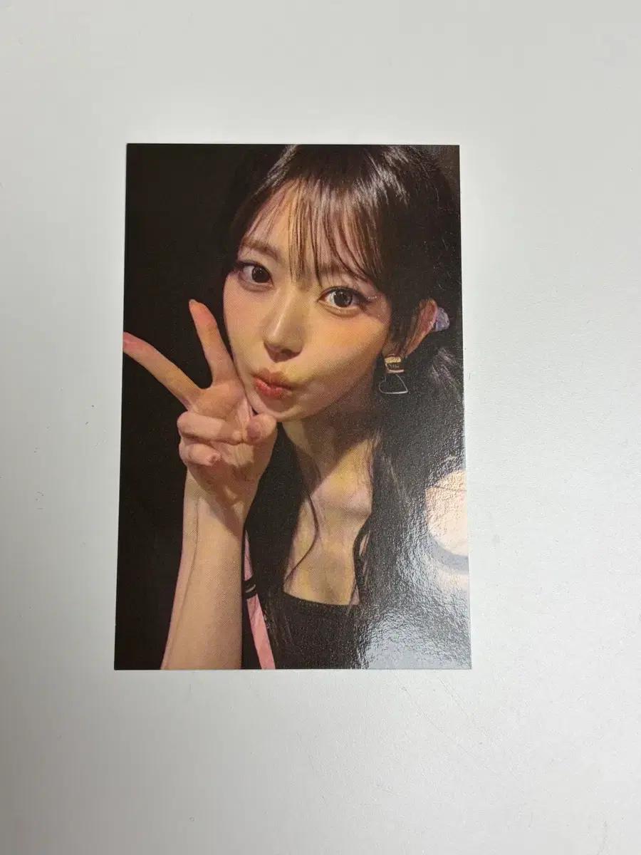 르세라핌 피어나존 포토카드