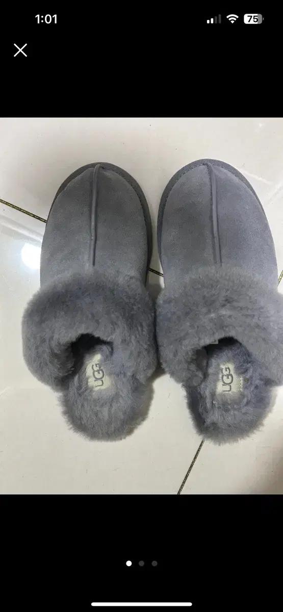 미국어그UGG