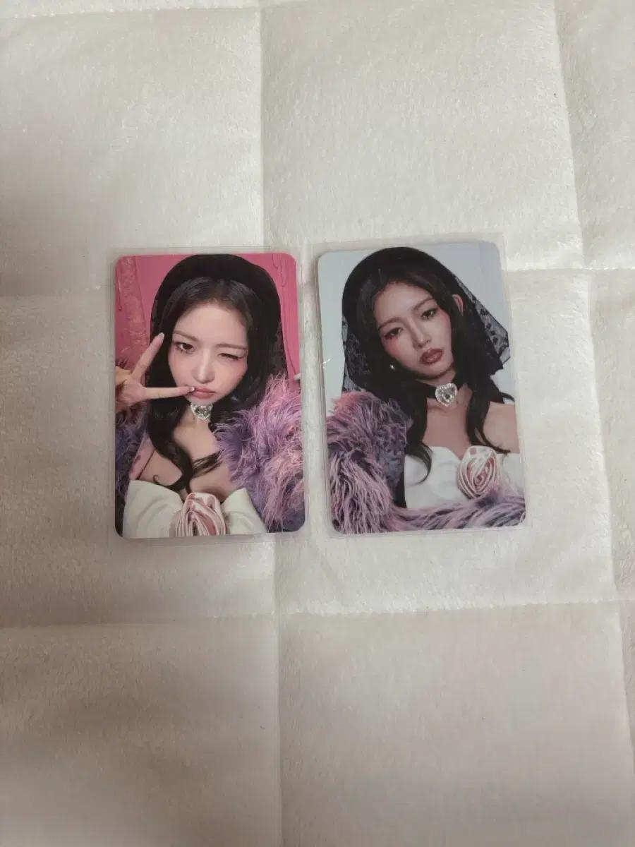아이브 레이 시크릿 스스퀘 특전