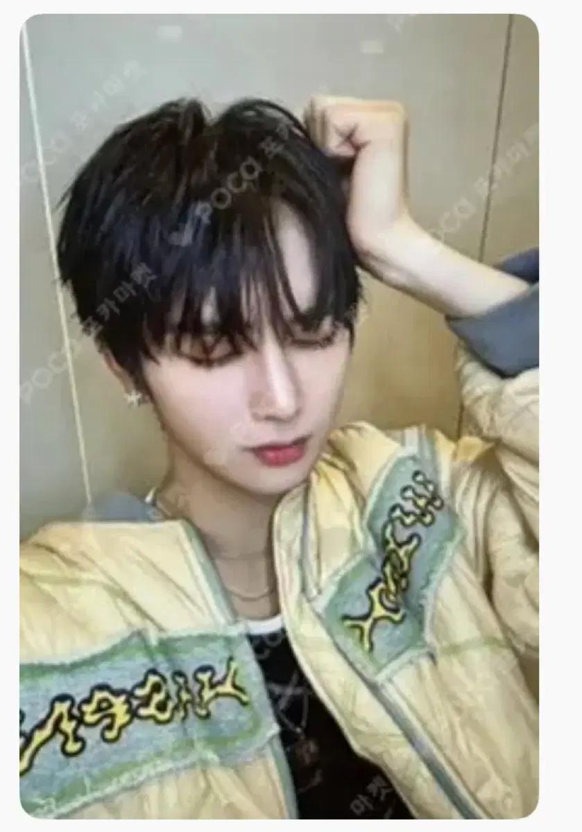구매) 알디원 조우안신 안신 포카 구해요