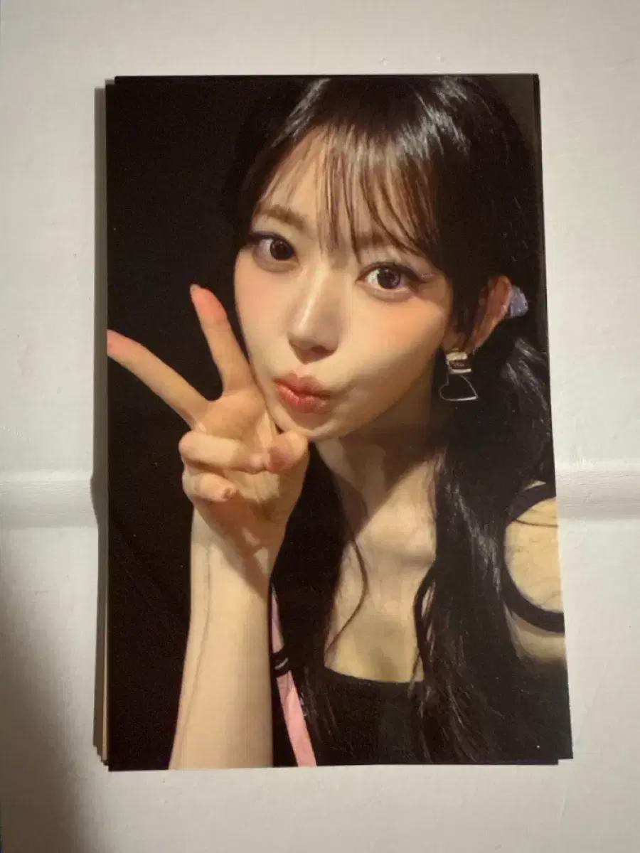 르세라핌 콘서트 피어나존 사쿠라 포카