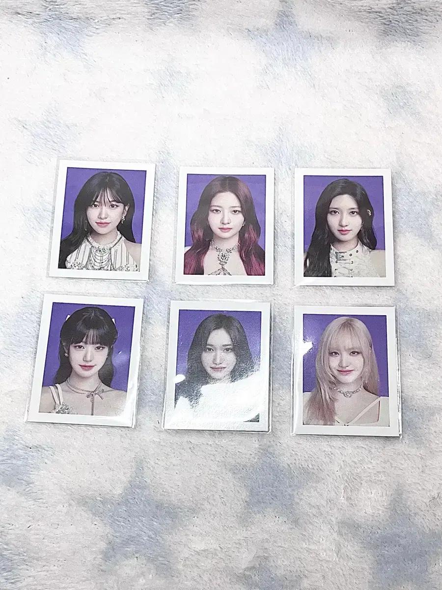 아이브 증사 양도