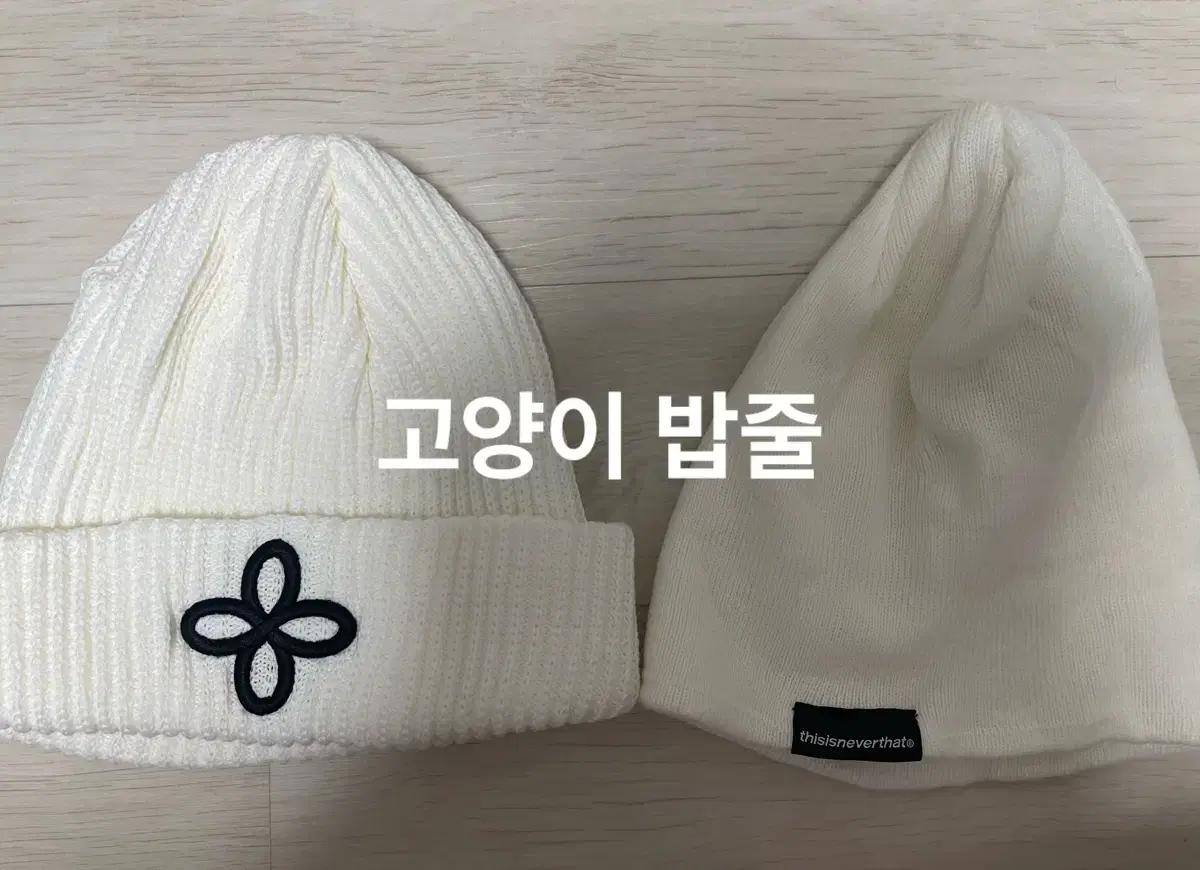 써저리 디네댓 비니 일괄