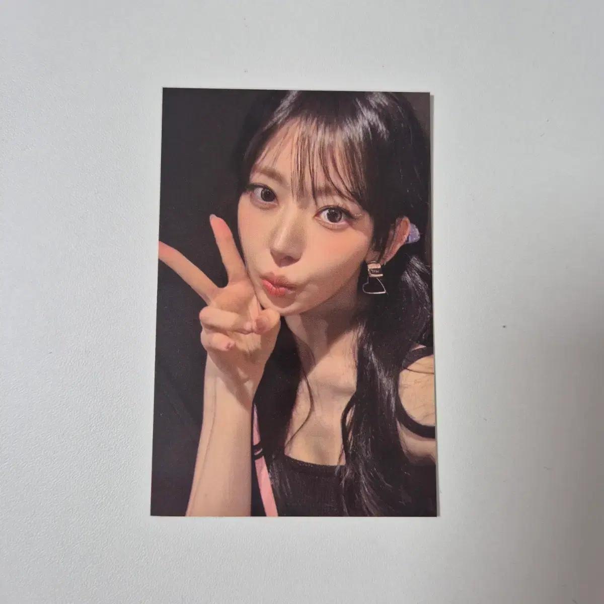 르세라핌 사쿠라 서울 앙콘 피어나존 포카