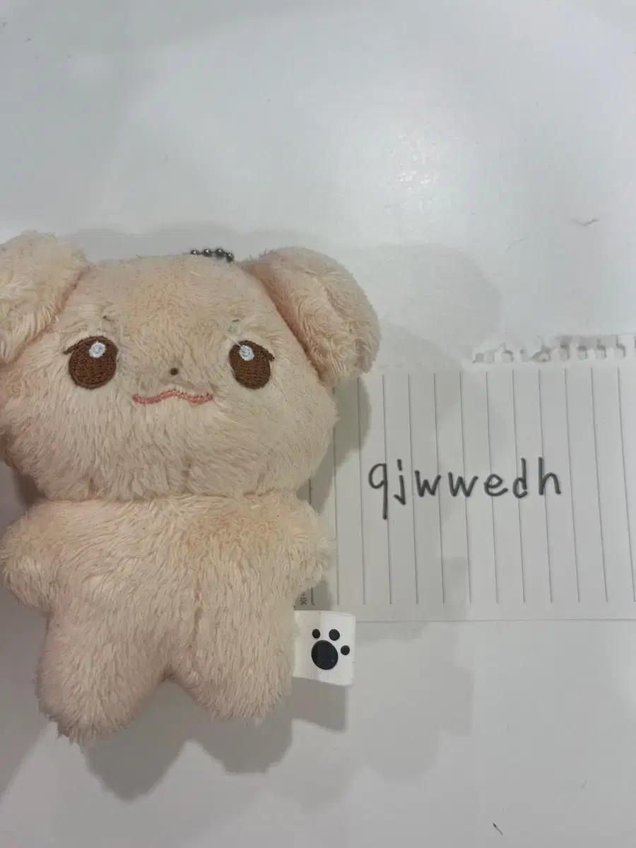 제베원 솜규빈