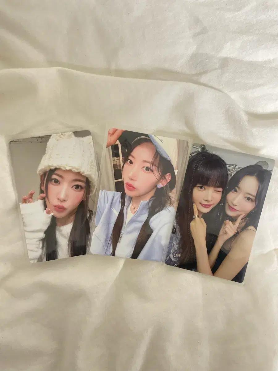 르세라핌 포카