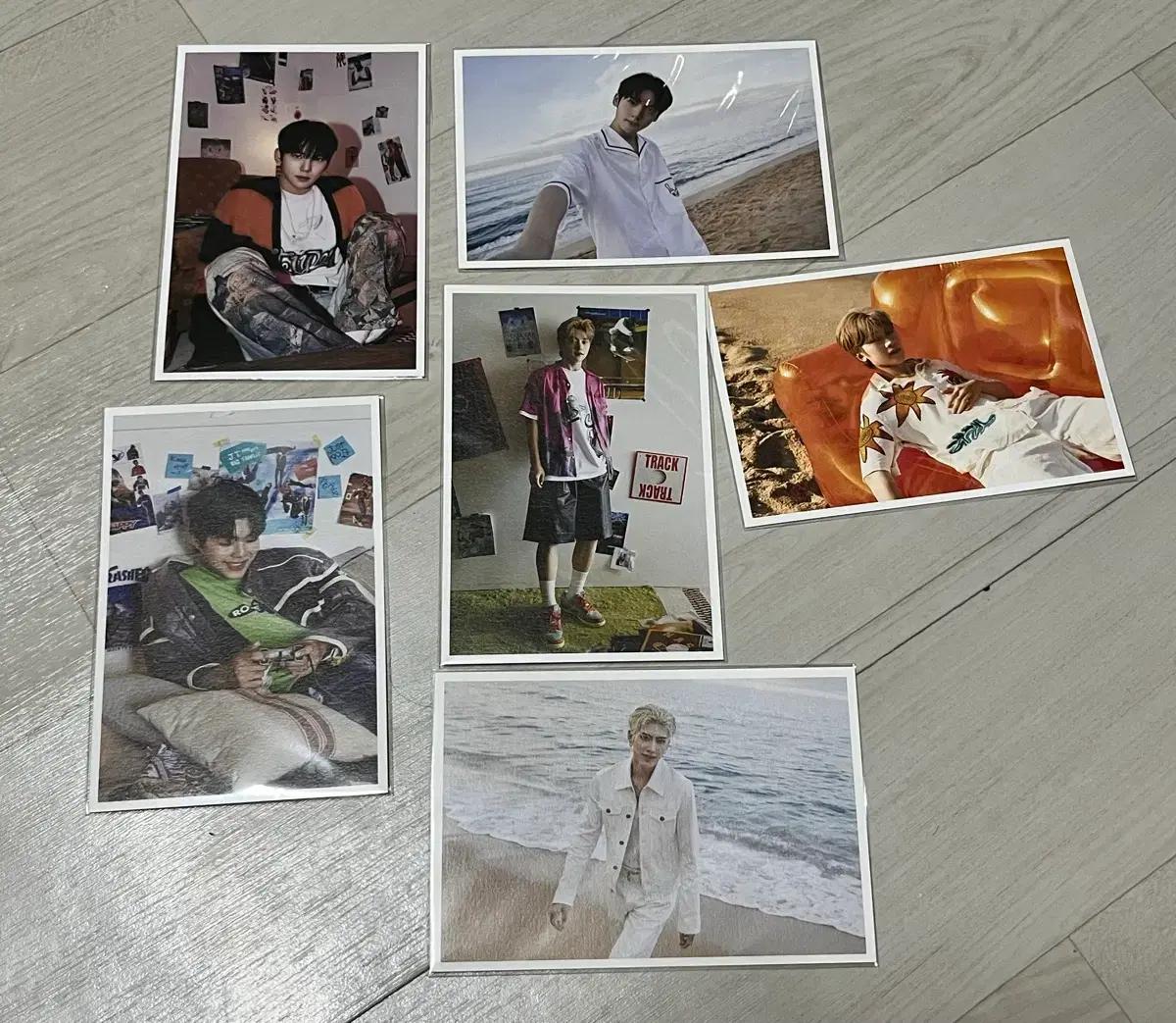 제베원 포스터 카드 디아이콘 팝업 일괄 양도