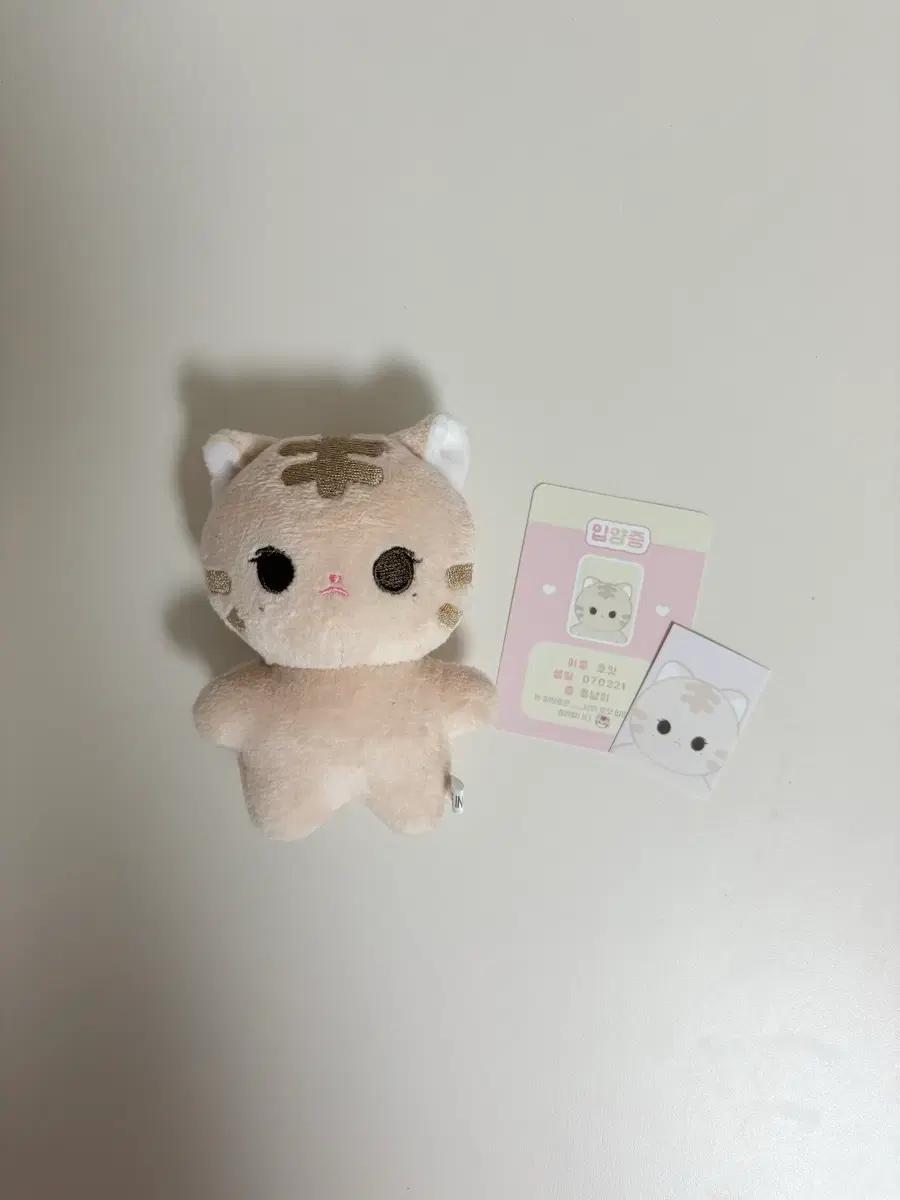 아이브 이서 호잇이 인형 판매해요