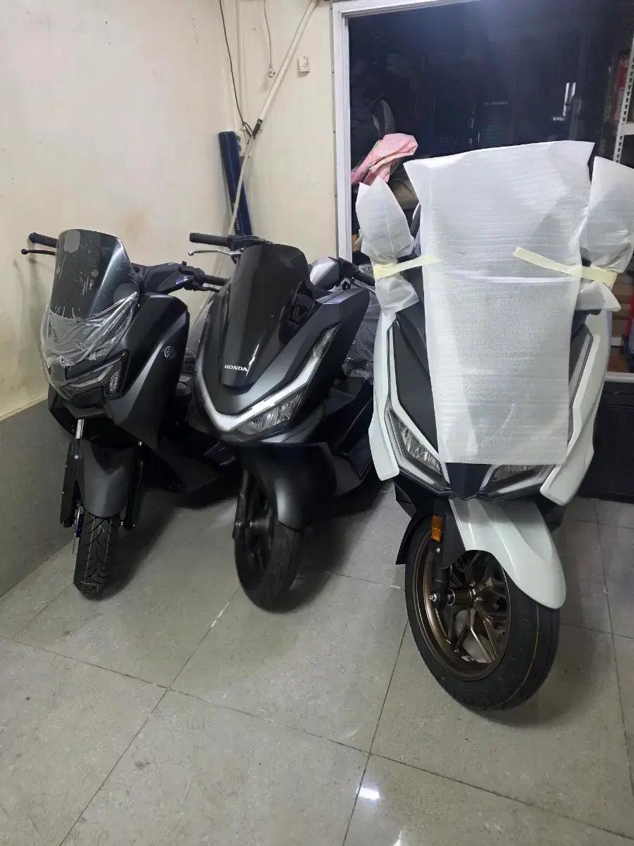 25년 포르자350.25년 pcx.25년 엔맥스
