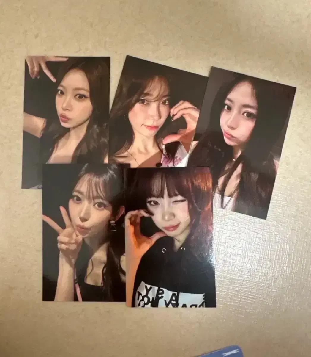 르세라핌 이지크레이지핫 앙콘 피어나존 포토카드 일괄