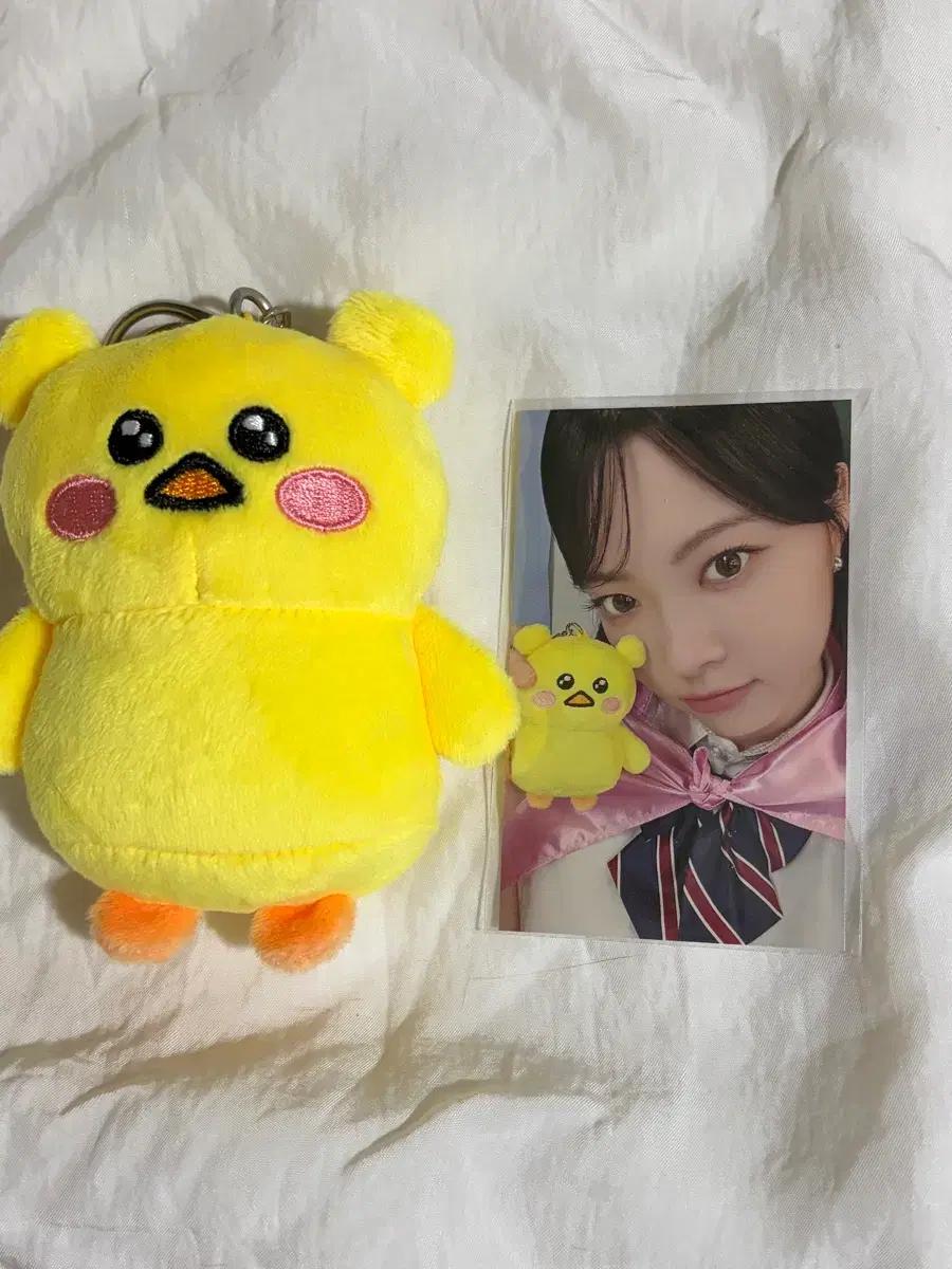 르세라핌 홍은채 핌즈클럽 공식 인형 홍삐삐