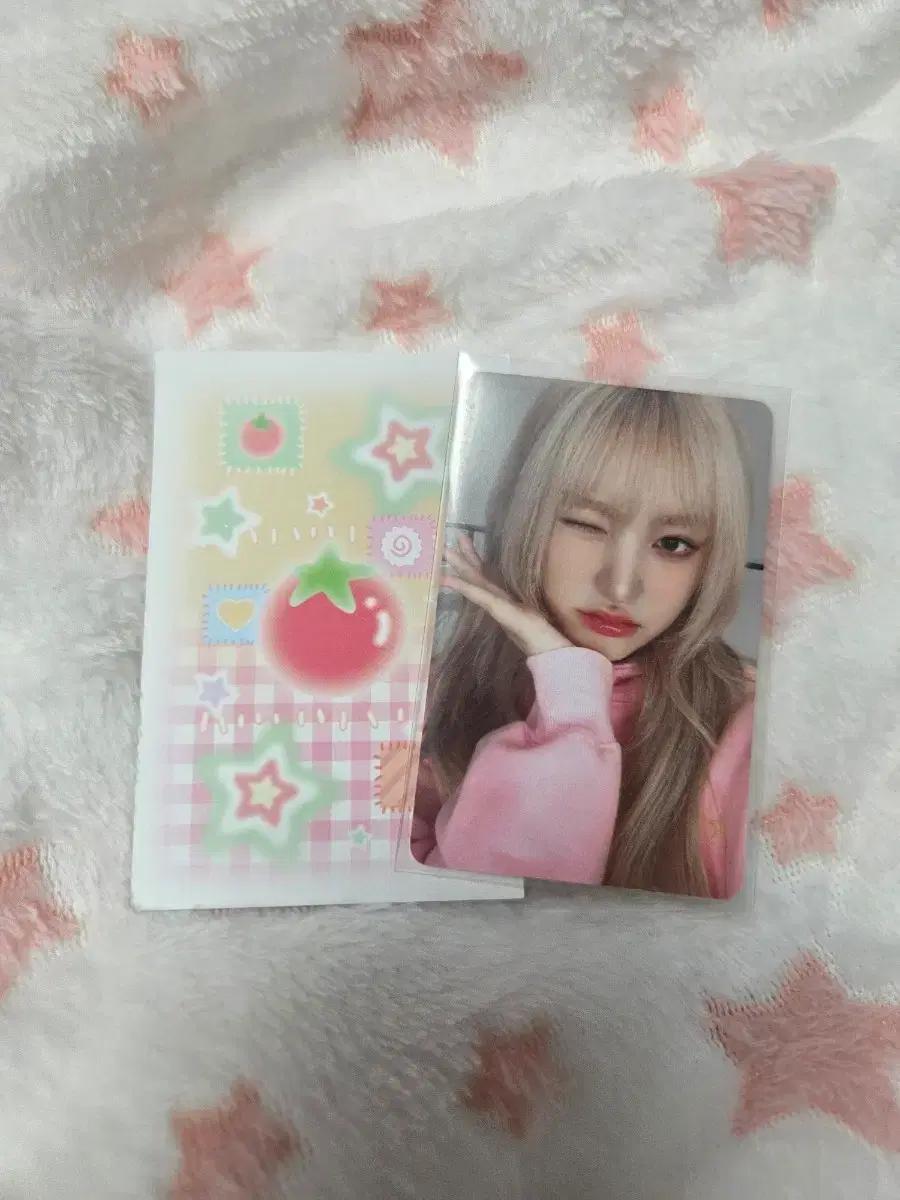 아이브 리즈 포토카드