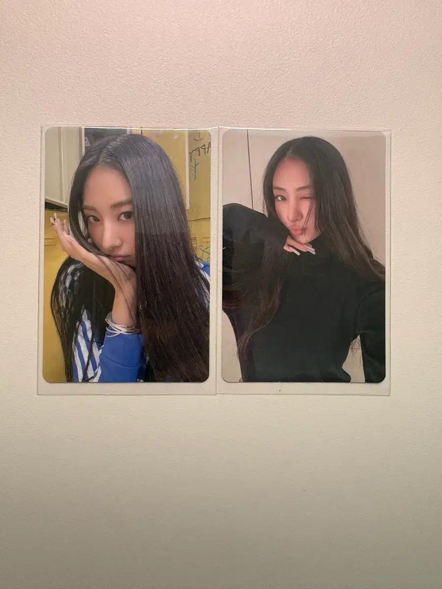 미야오 가원 앨포 일괄