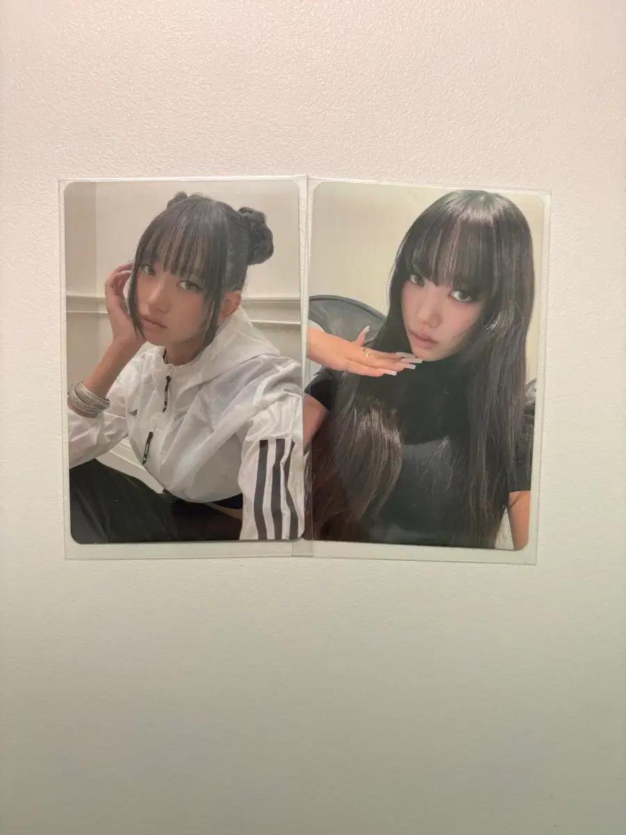 미야오 수인 앨포 일괄