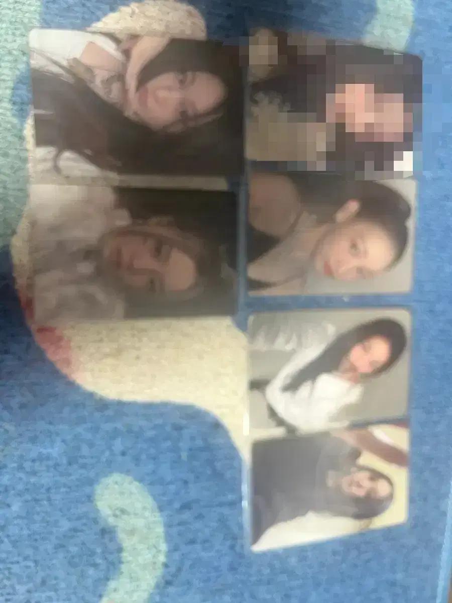올데프 베일리 애니 포카 일괄