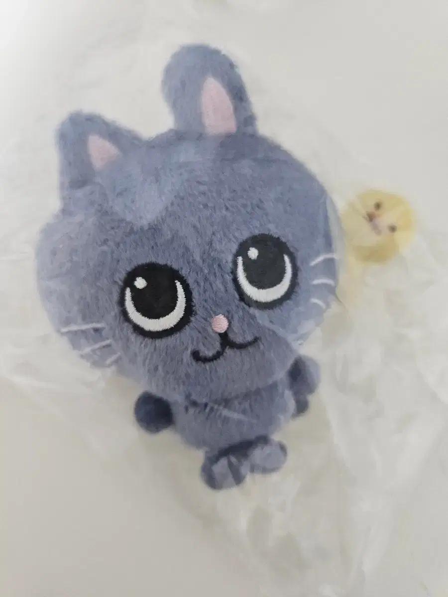 라이즈 보스라이즈 원빈 8cm 토냥덕