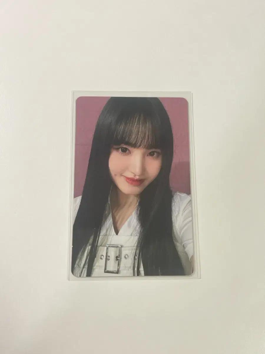 Wave 일본 아이브 리즈