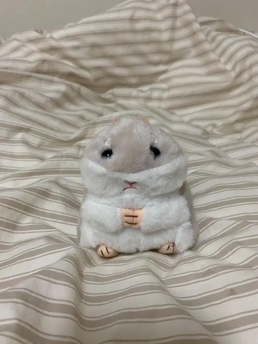 어뮤즈 햄스터 인형