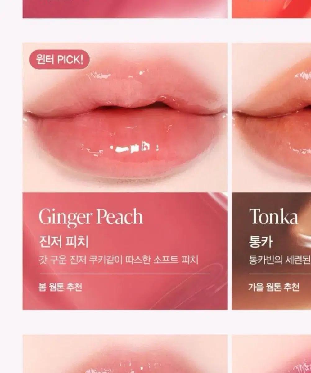 에스쁘아 꾸뛰르 립틴트 진저피치