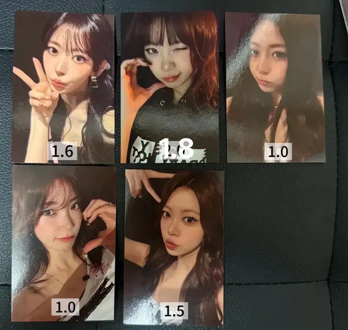 르세라핌 콘서트 피어나존 포카
