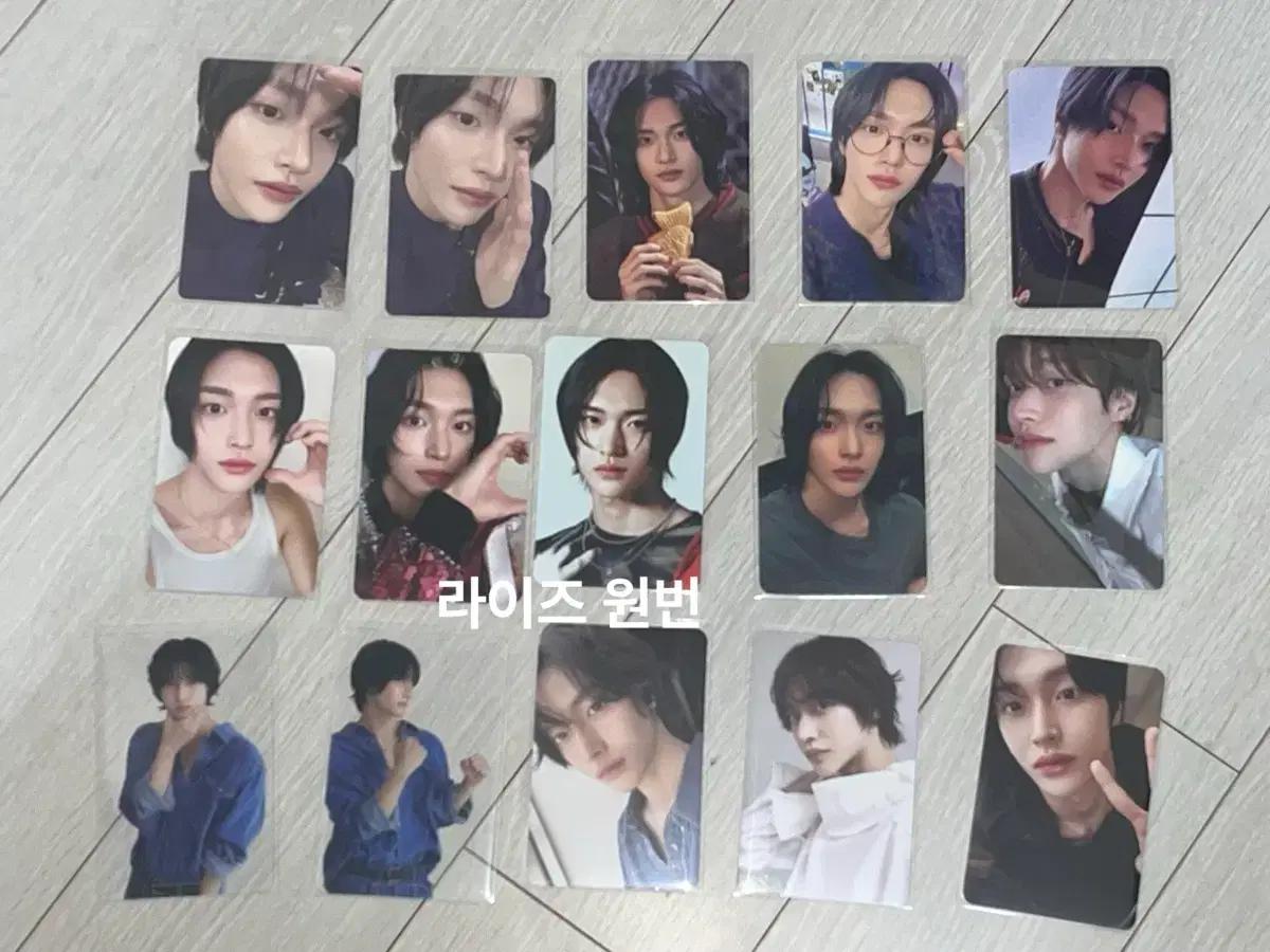 라이즈 원빈 포카 15장 일괄 양도 미공포 시그 허그 붐붐베