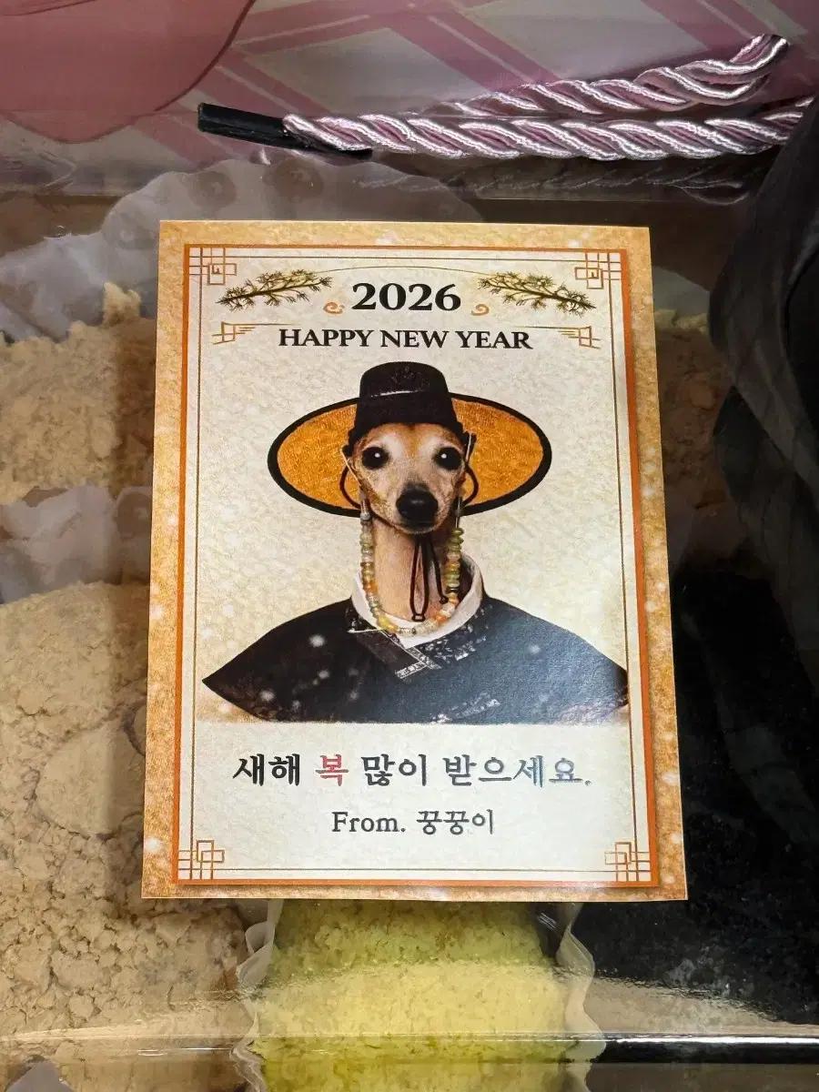 제베원 막콘 90 생각하고 있습니다<안전결제 바로 가능 제로베이스원