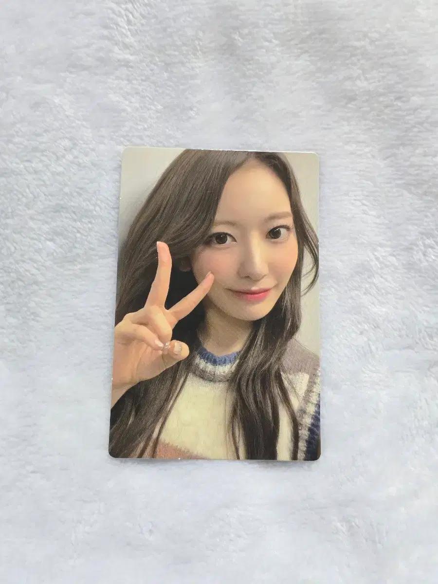 르세라핌 2023 1기 멤버쉽 사쿠라 포카