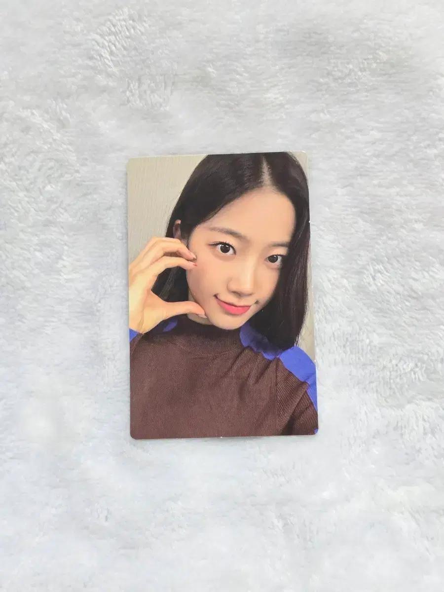 르세라핌 2023 1기 멤버쉽 카즈하 포카
