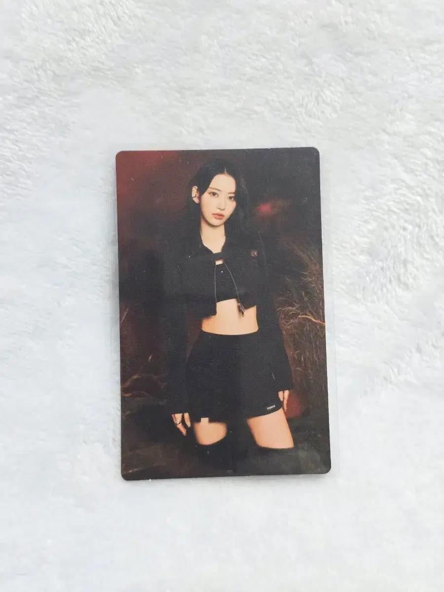 르세라핌 사쿠라 포토카드 05