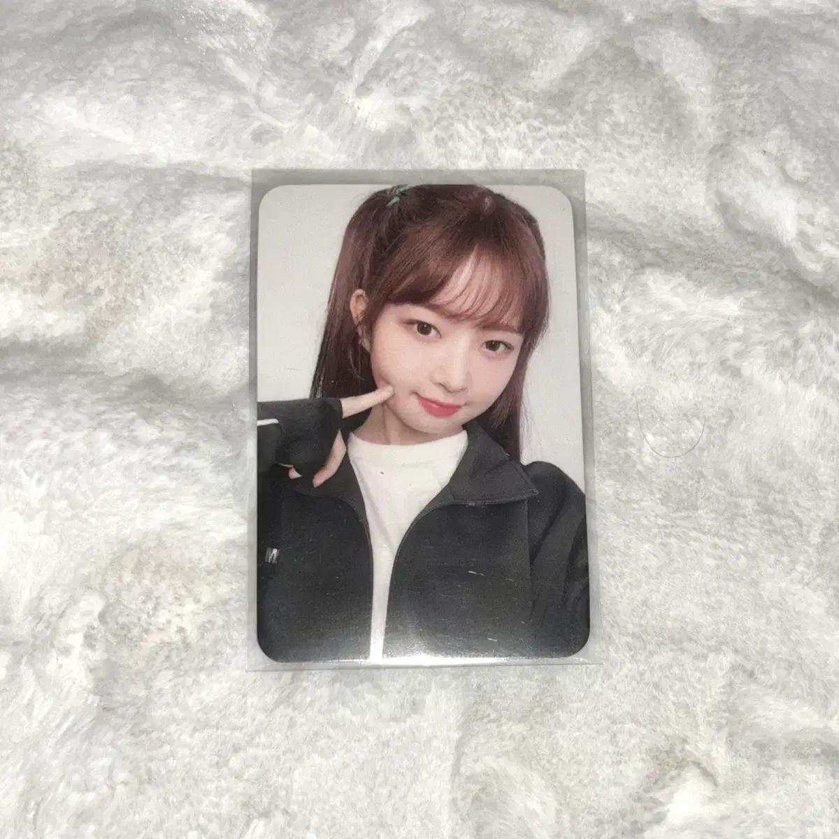 아이브 fcmm 레이 포카 양도 | 사웨위드뮤럭드원영리즈유진리바이브