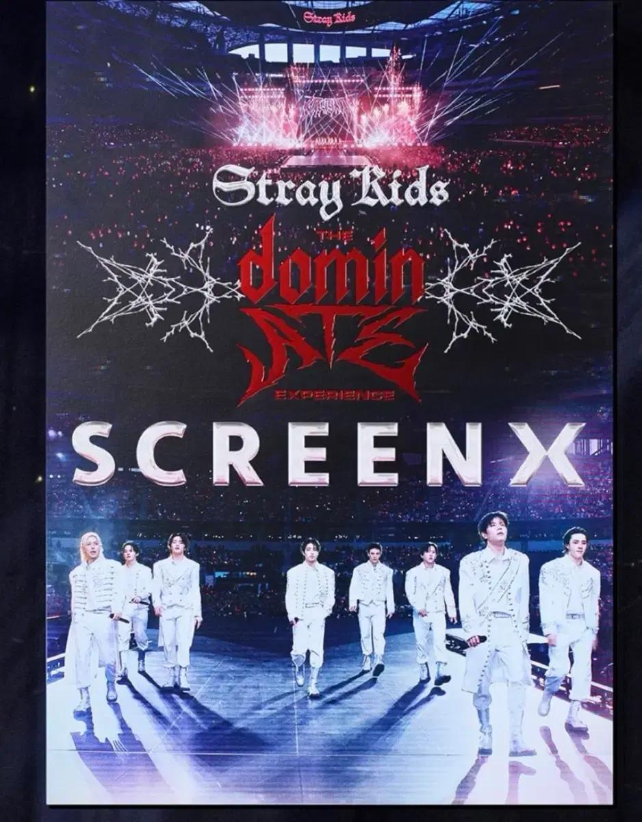 Stray Kids 스트레이키즈 SCREEN X 영화 포스터 특전