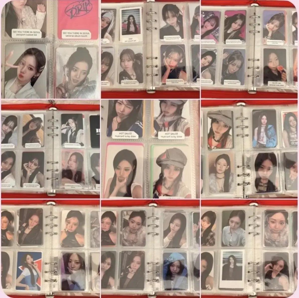 48장 일괄) 베이비몬스터 베몬 로라 포카 셀포 특전 럭드 양도