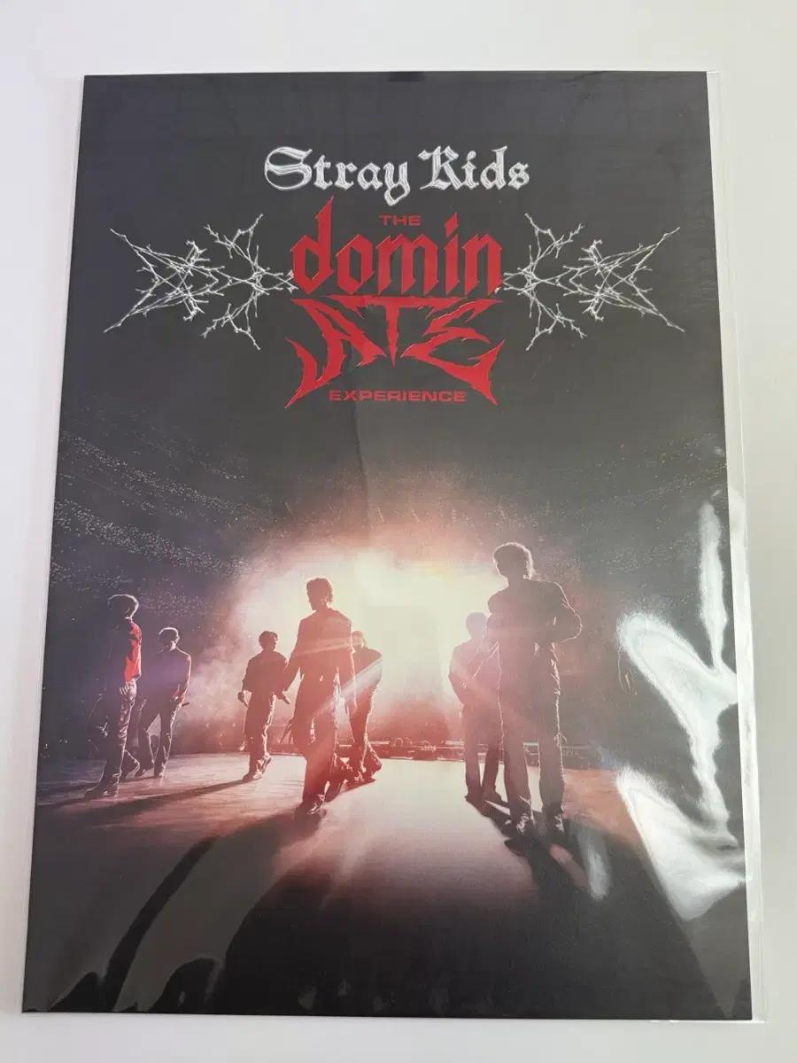 스키즈 cgv 더 도미네이트 포스터