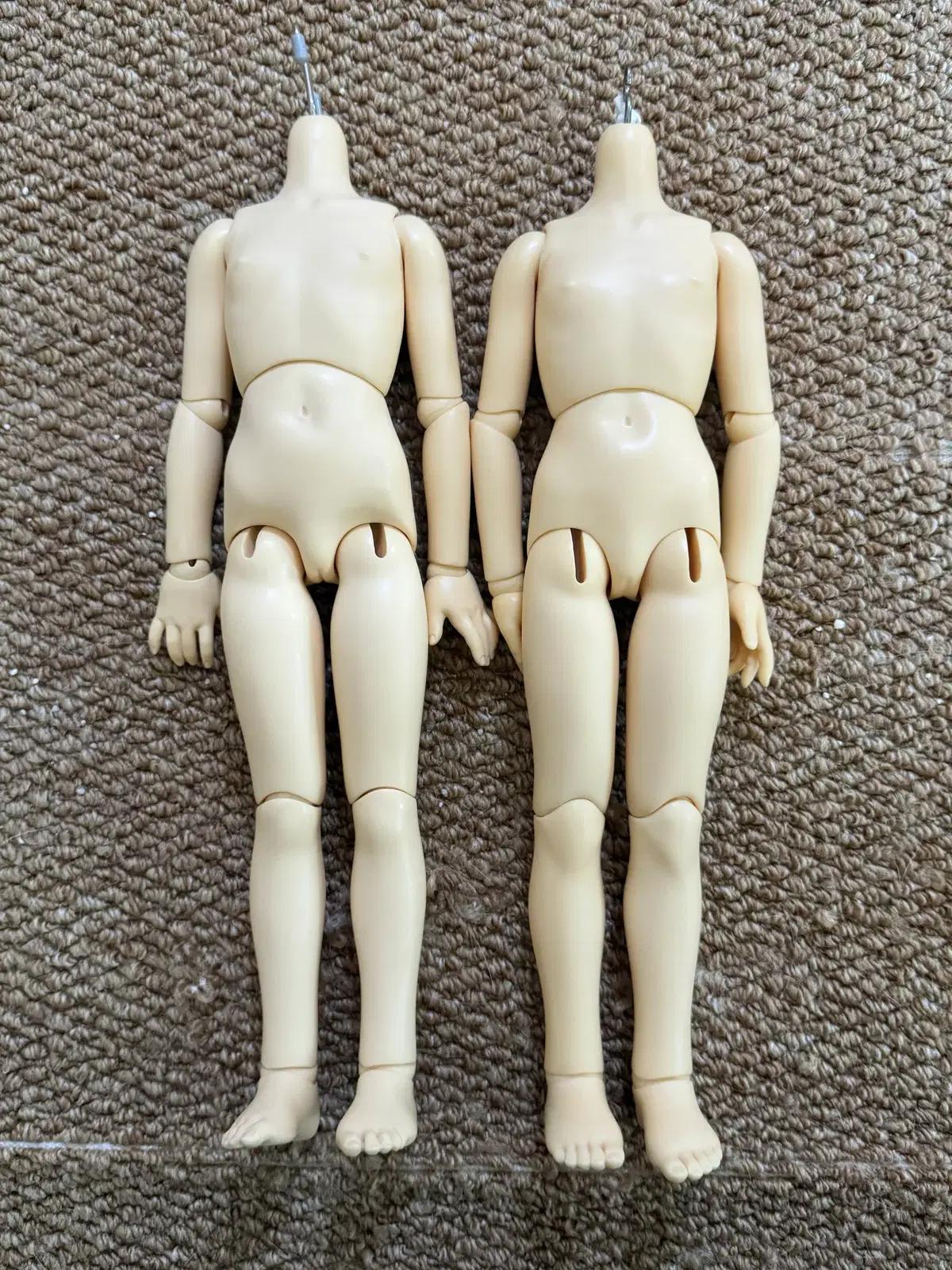 보크스 구버전 msd 여아 바디