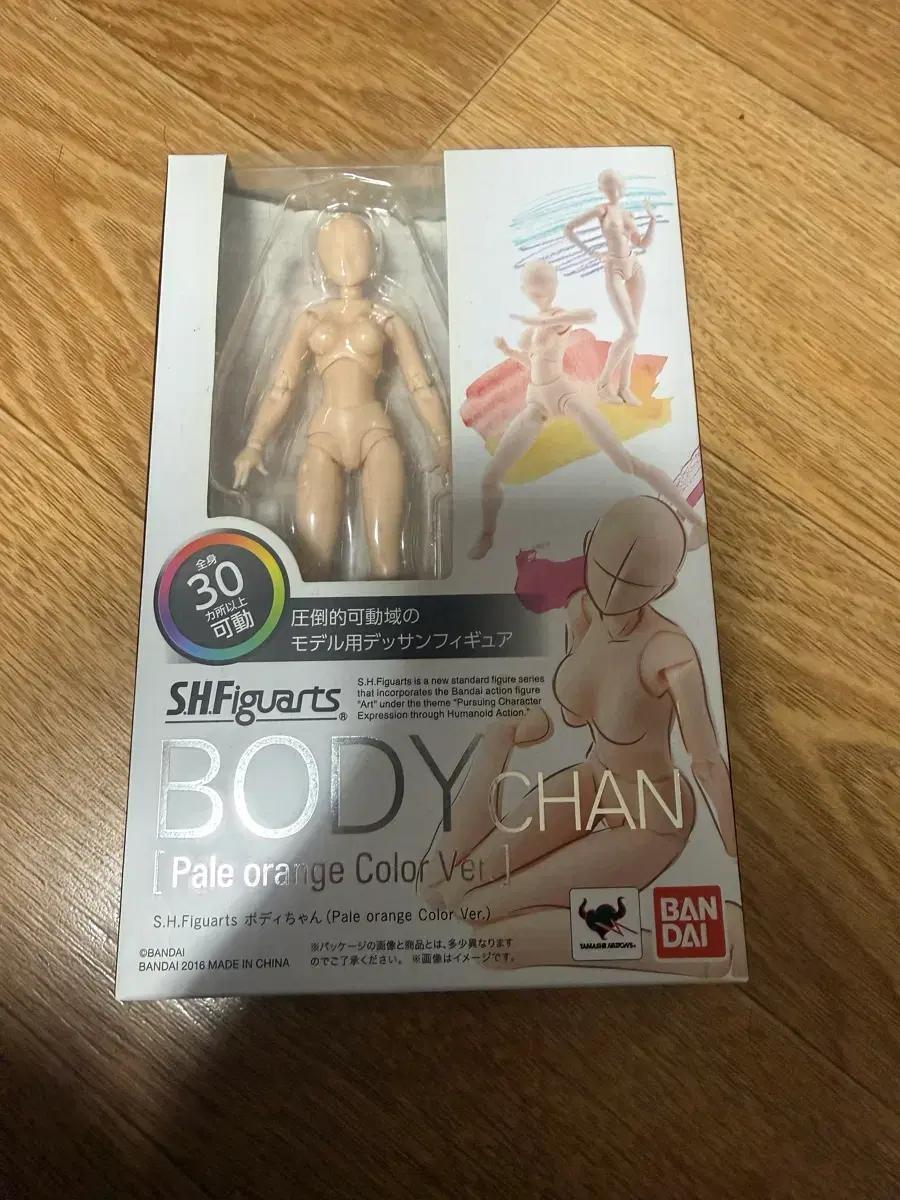 shf 바디짱