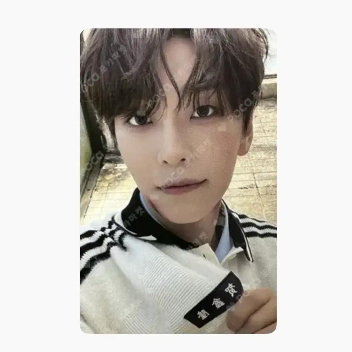 최저가) 알디원 허씬롱 쥬얼 앨포