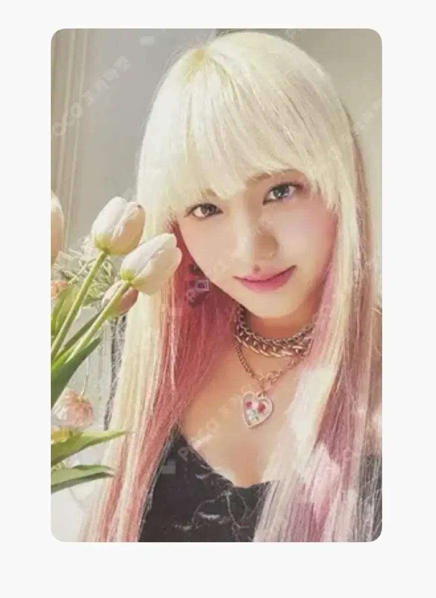 아이브 리즈 포토카드 일괄판매